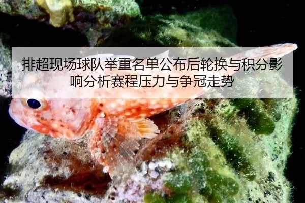 排超现场球队举重名单公布后轮换与积分影响分析赛程压力与争冠走势