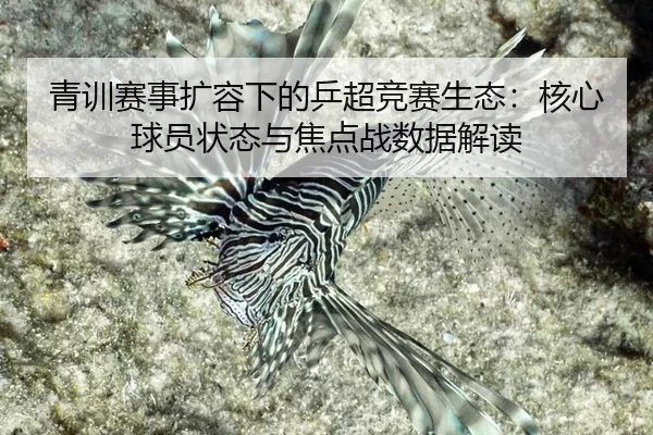 qing-xun-sai-shi-kuo-rong-xia-de-ping-chao-jing-sai-sheng-tai-he-xin-qiu-yuan-zhuang-tai-yu-jiao-dian-zhan-shu-ju-jie-du-2-433.jpg